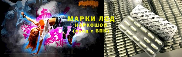 PSILOCYBIN Богородицк